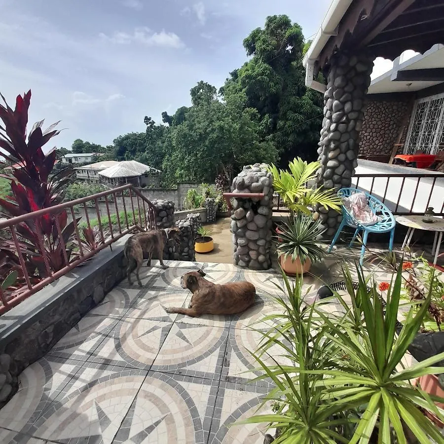 Canefield Sea View Apartment Roger